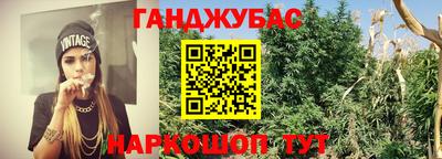 ГАЛЛЮЦИНОГЕННЫЕ ГРИБЫ Беслан