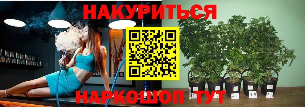 МАРИХУАНА OG Kush  Вход с VPN  Ивантеевка  МАРИХУАНА AK-47  Бошки Шишки OG Kush 